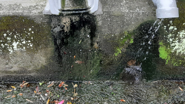 汚れた側溝の水の写真